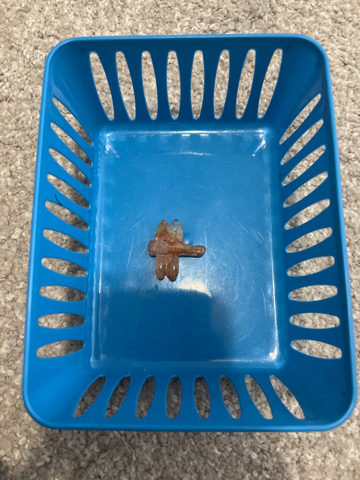 Monica live sale basket