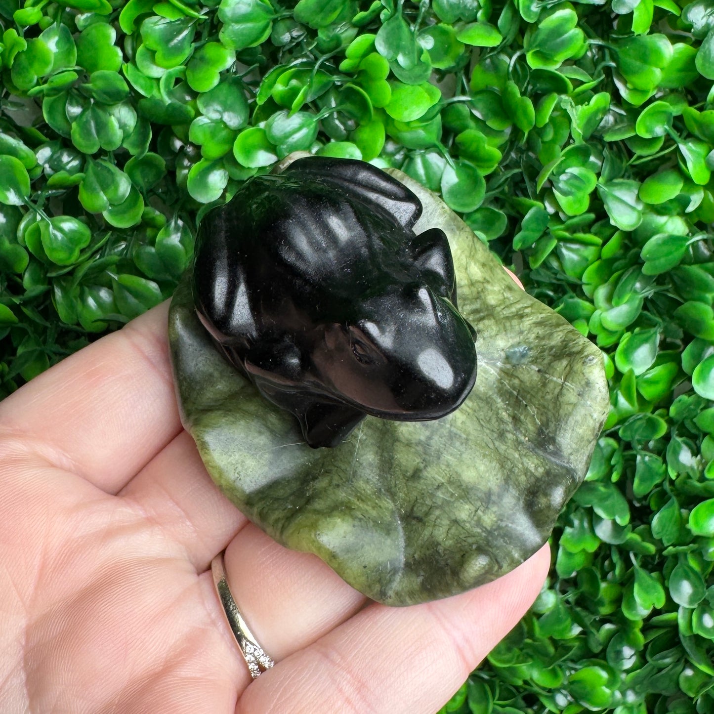 Black obsidian frog on a lili pad