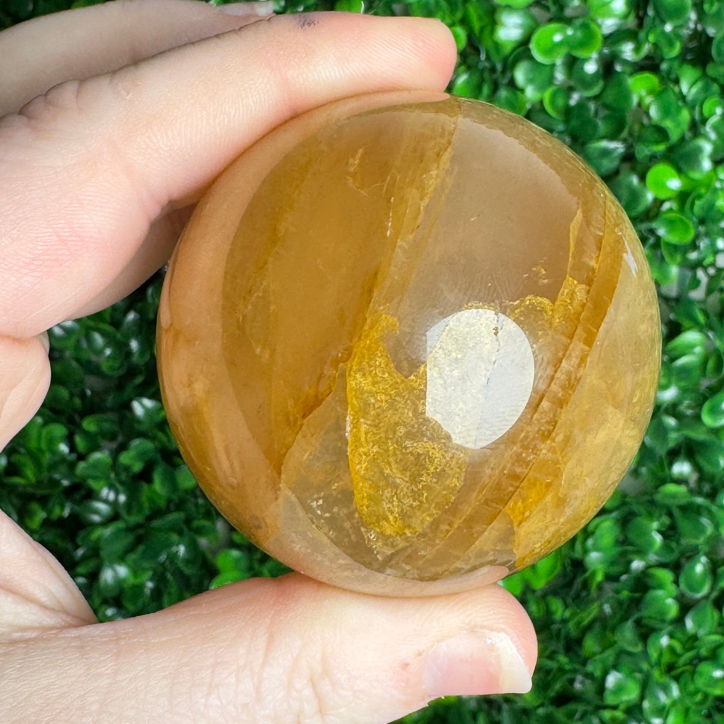 Star Golden Healer Sphere