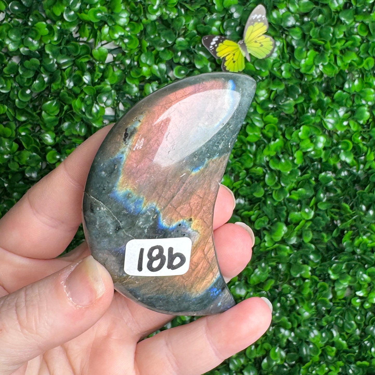 Labradorite Moon Carvings