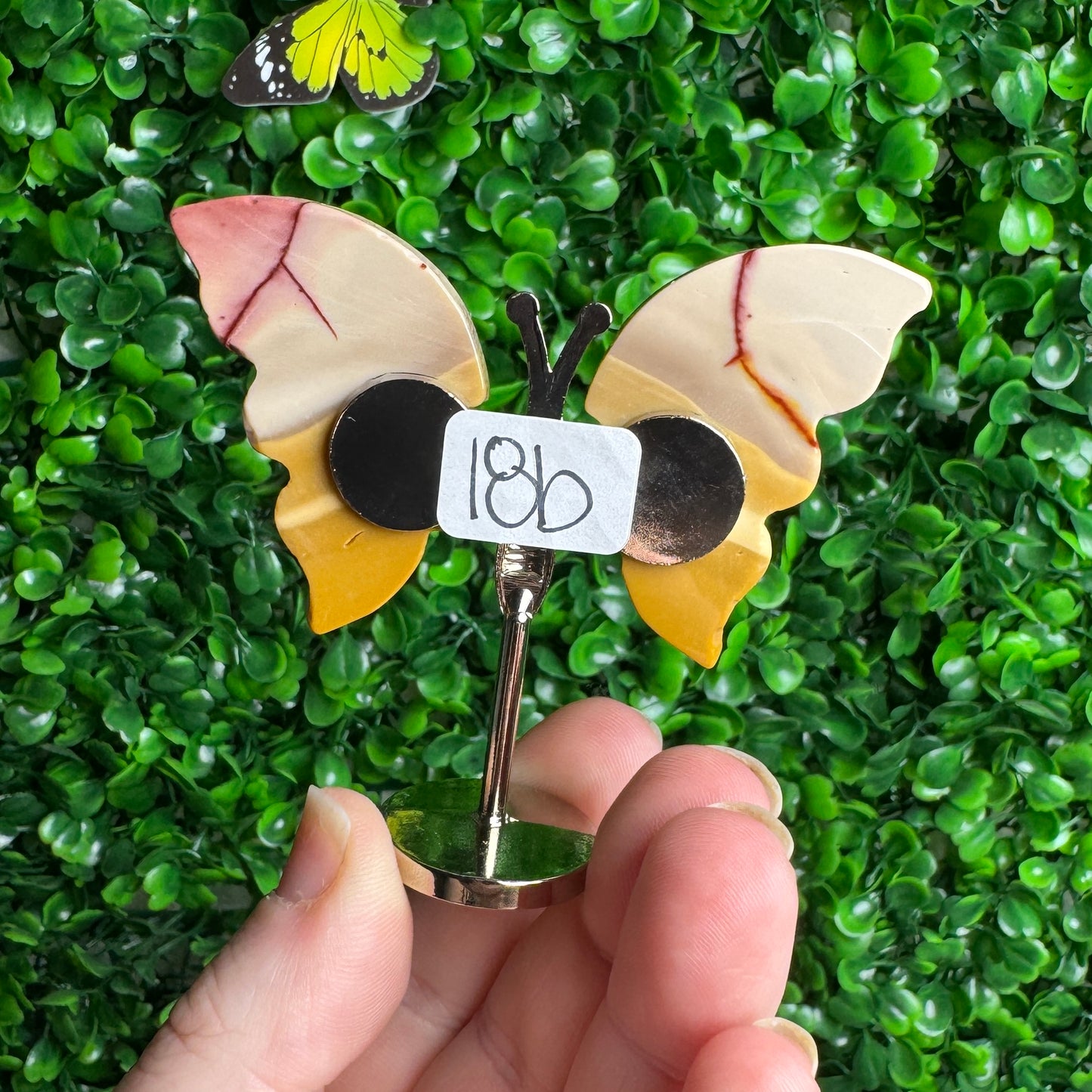 Small Mookaite Jasper Butterfly Carvings