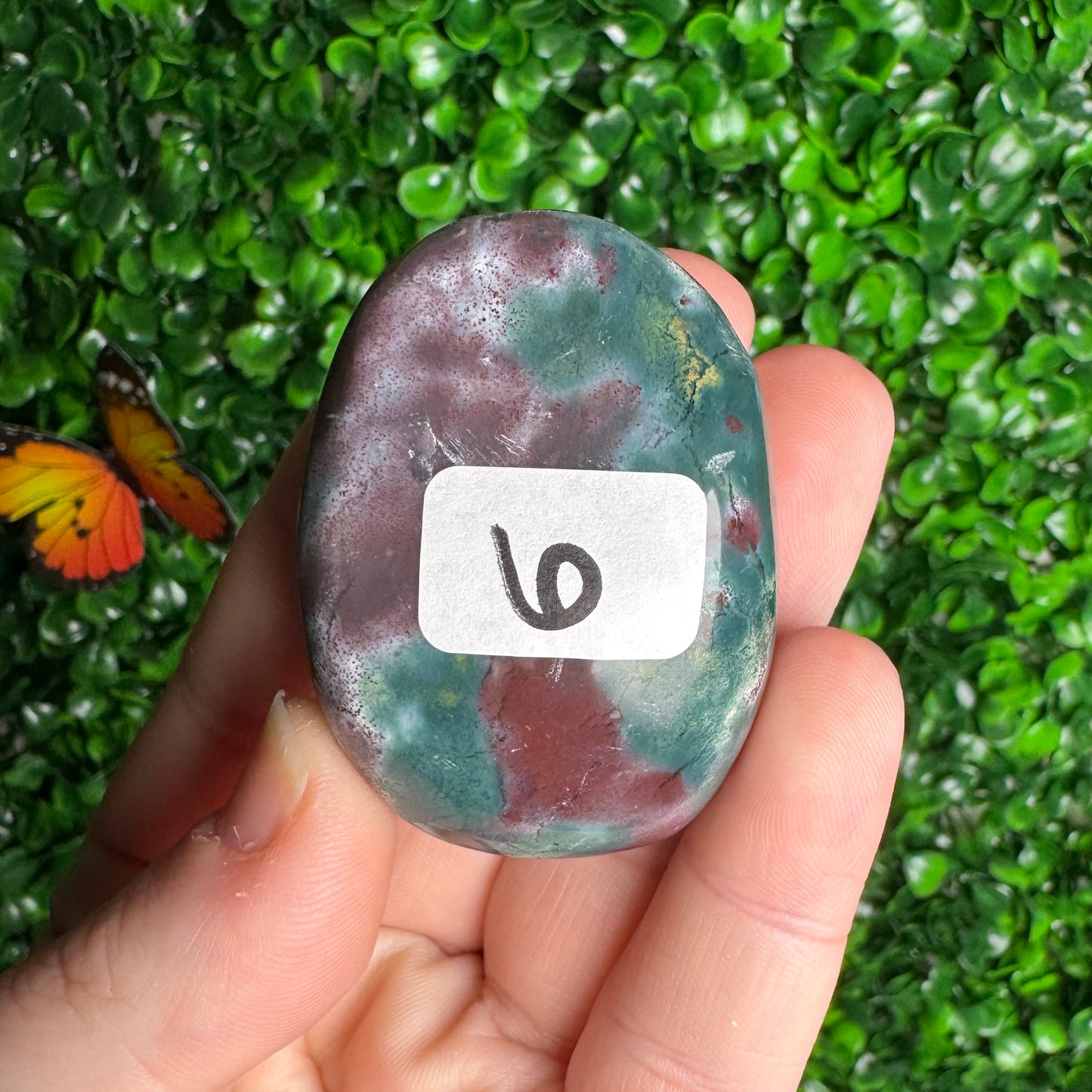 Sea Jasper Palm Stones