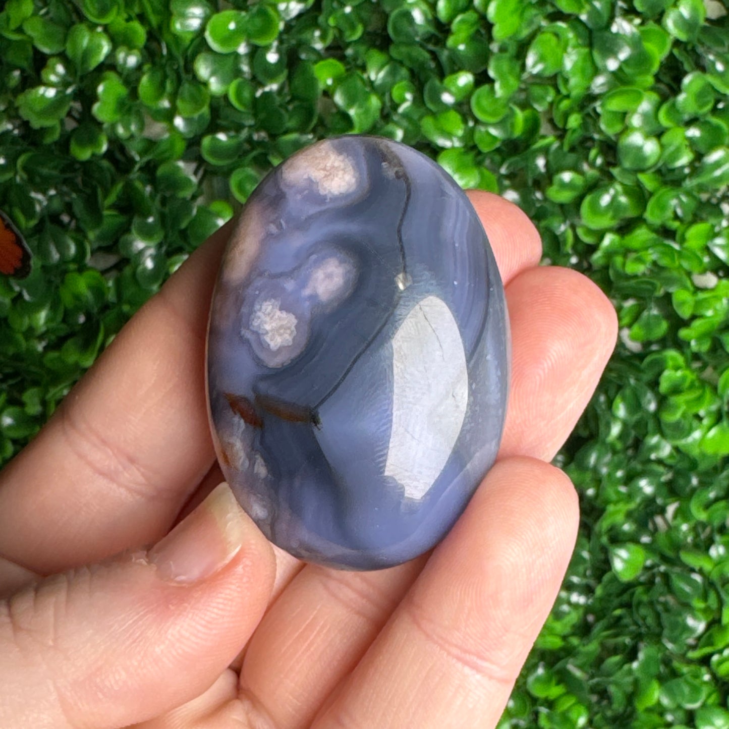 Blue Flower Agate Palm Stones