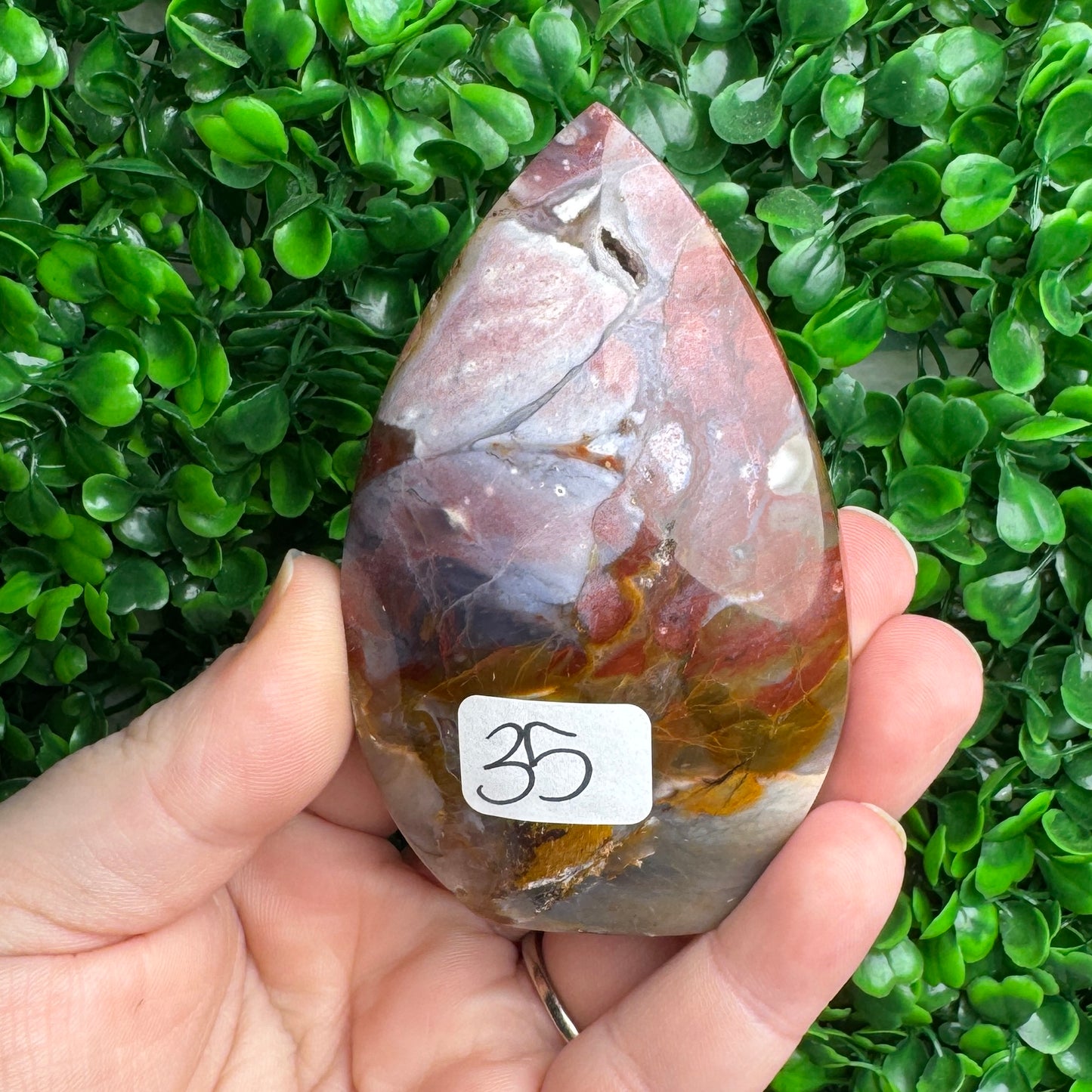 Cherry creek Jasper Freeform