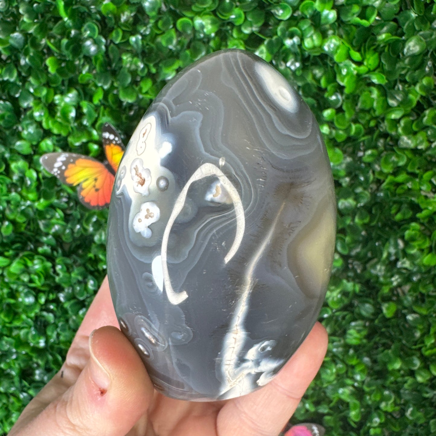 Orca Agate Freeform