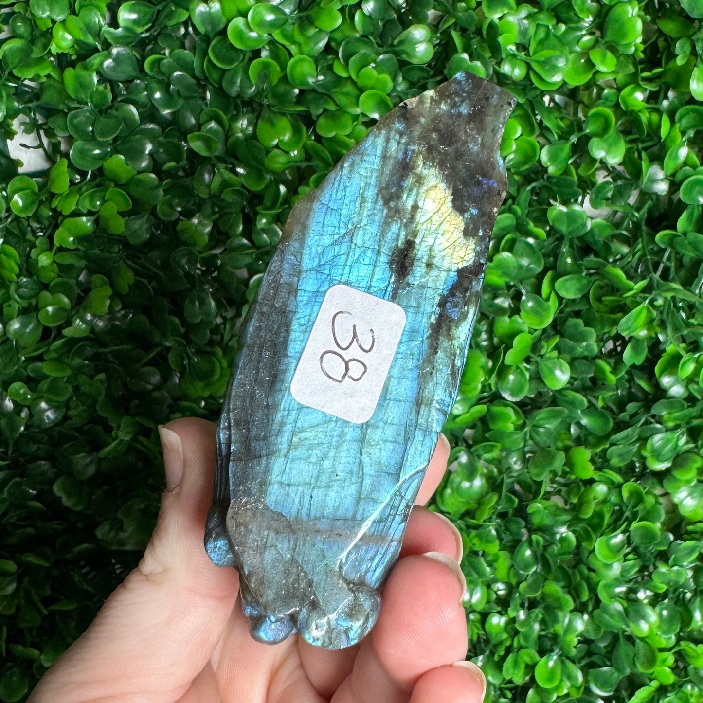 Labradorite Dolphin Carving