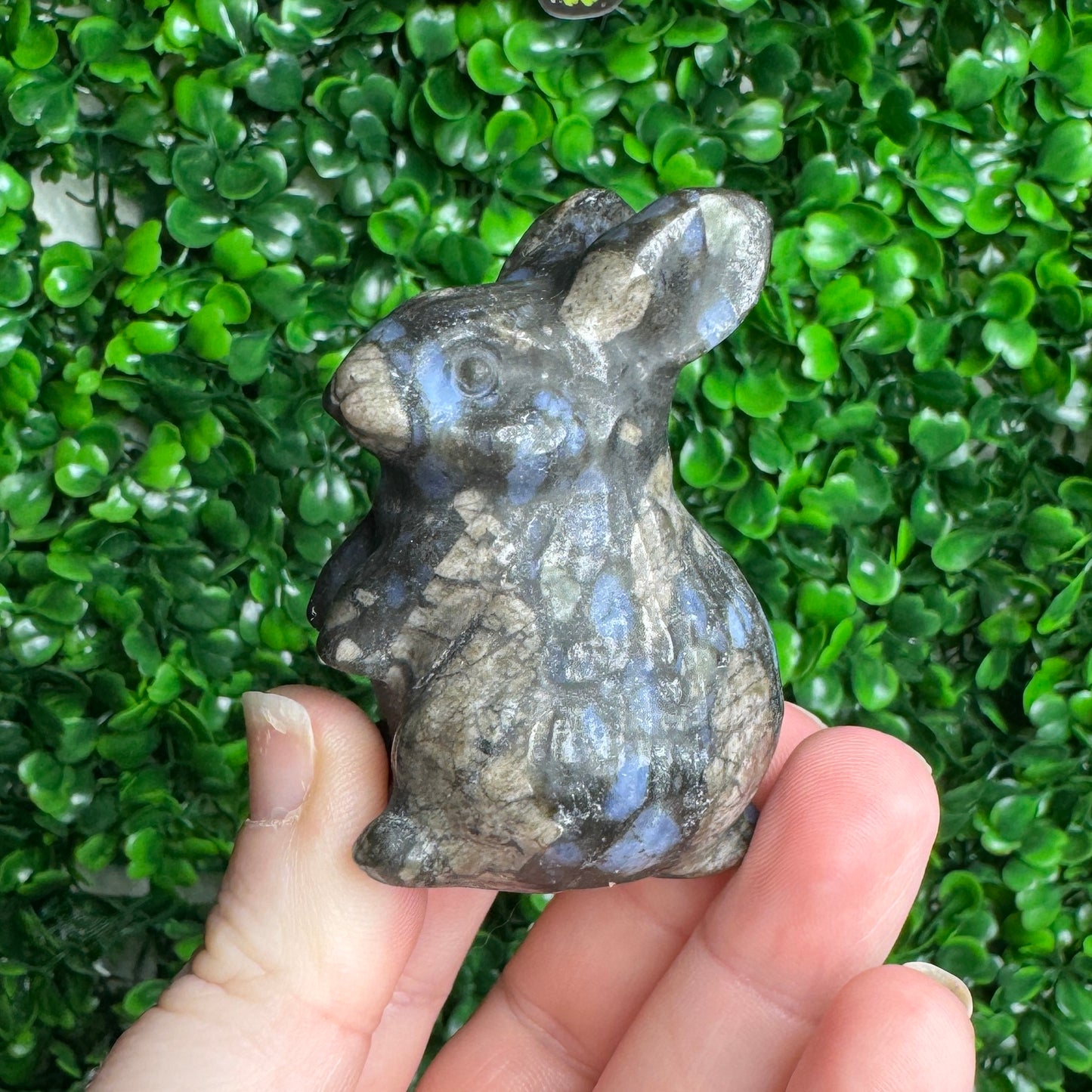 Que sera Rabbit Carving