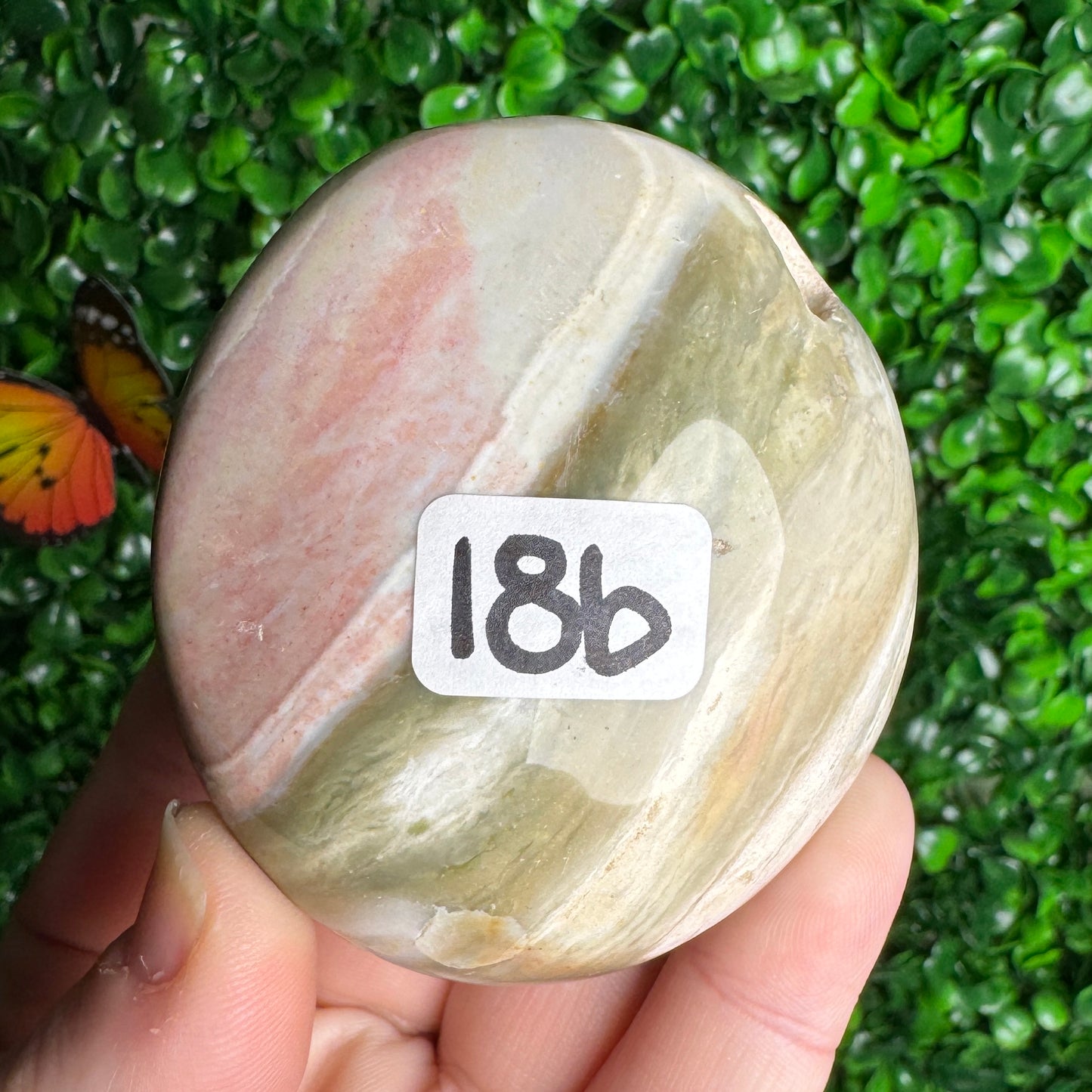 Sea Jasper Palm Stones