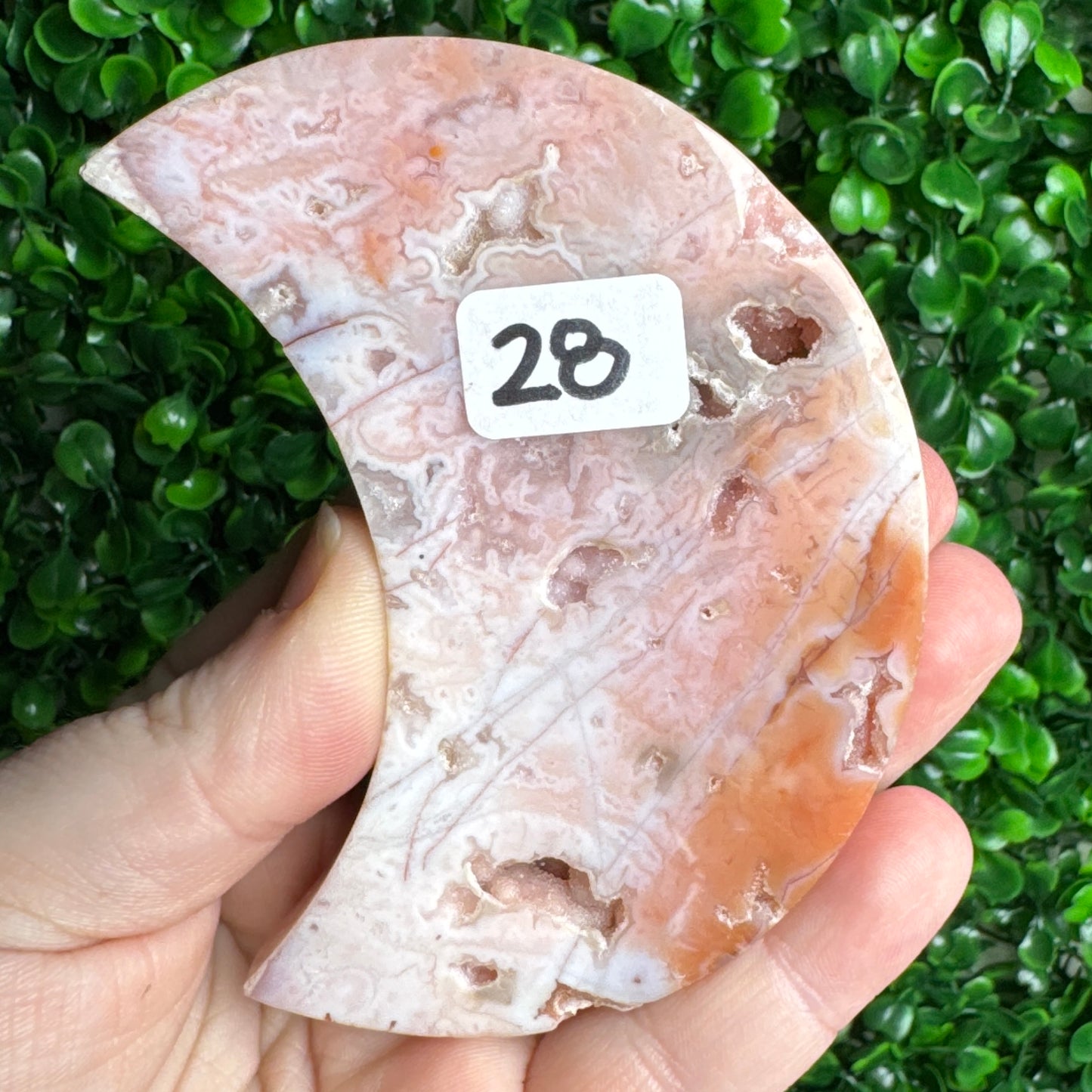 Pink plume moon carving