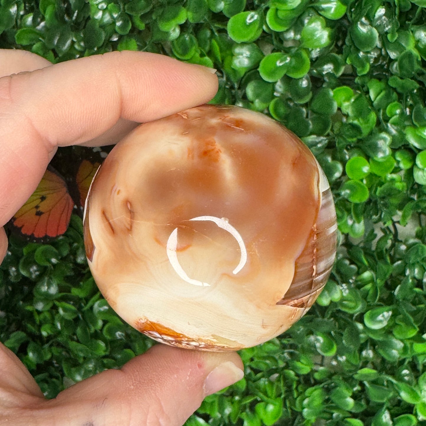 Carnelian Orca Sphere
