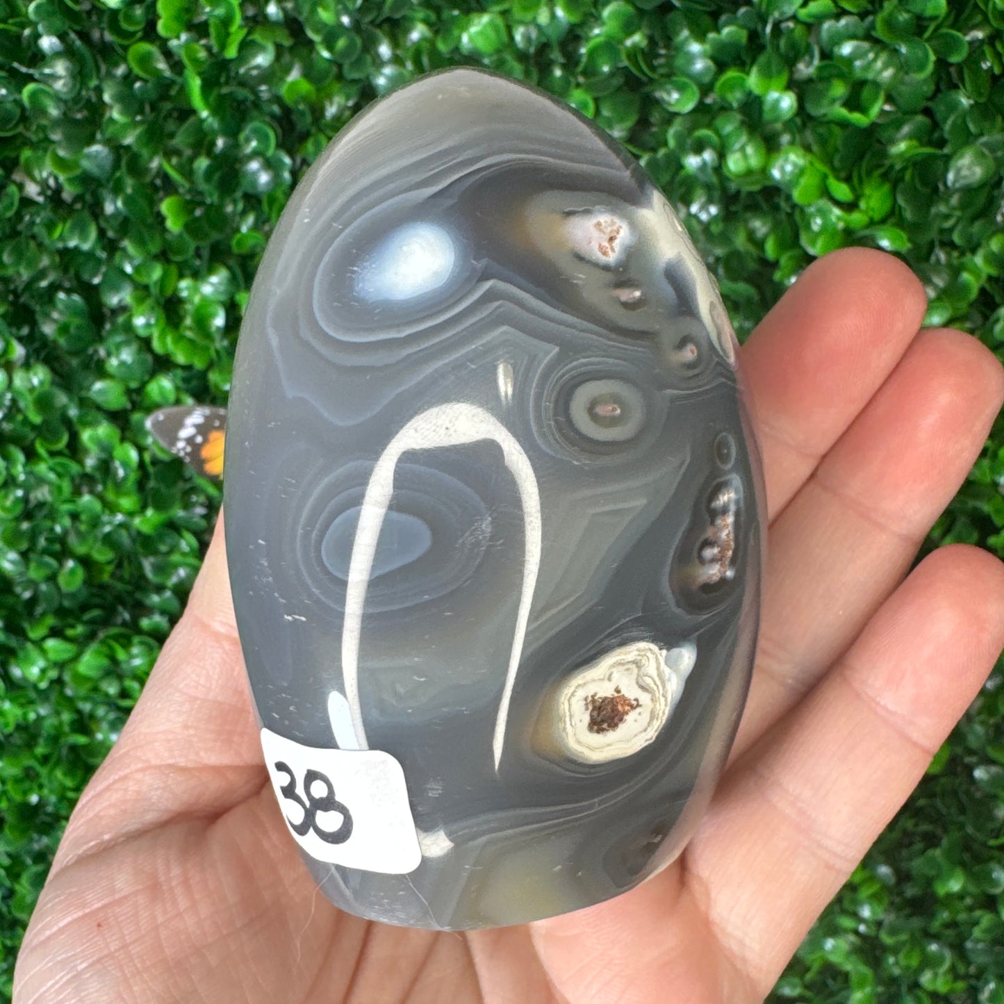 Orca Agate Freeform