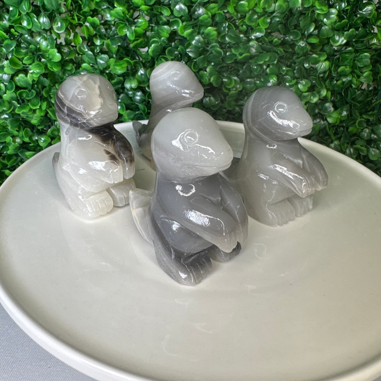 Black banded onyx Dino carving Intuitively chosen