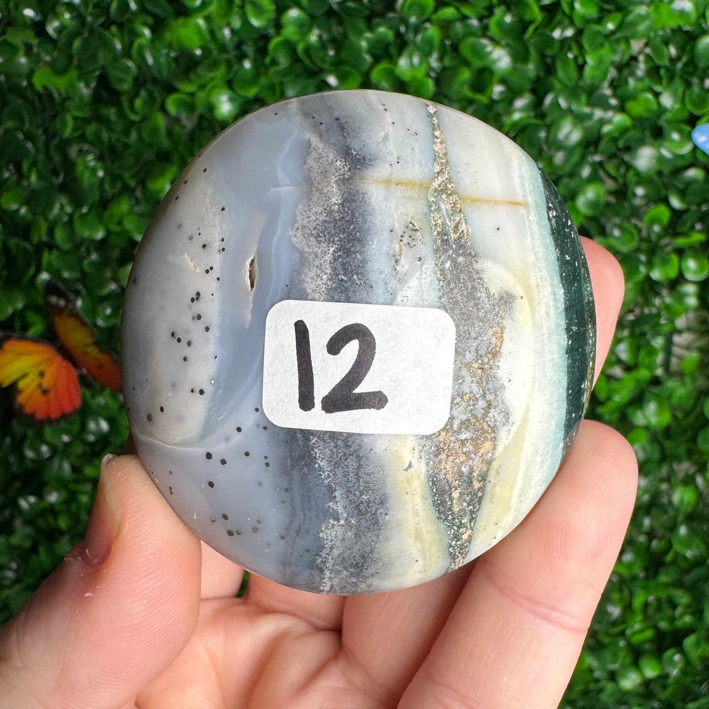 Sea Jasper Palm Stones