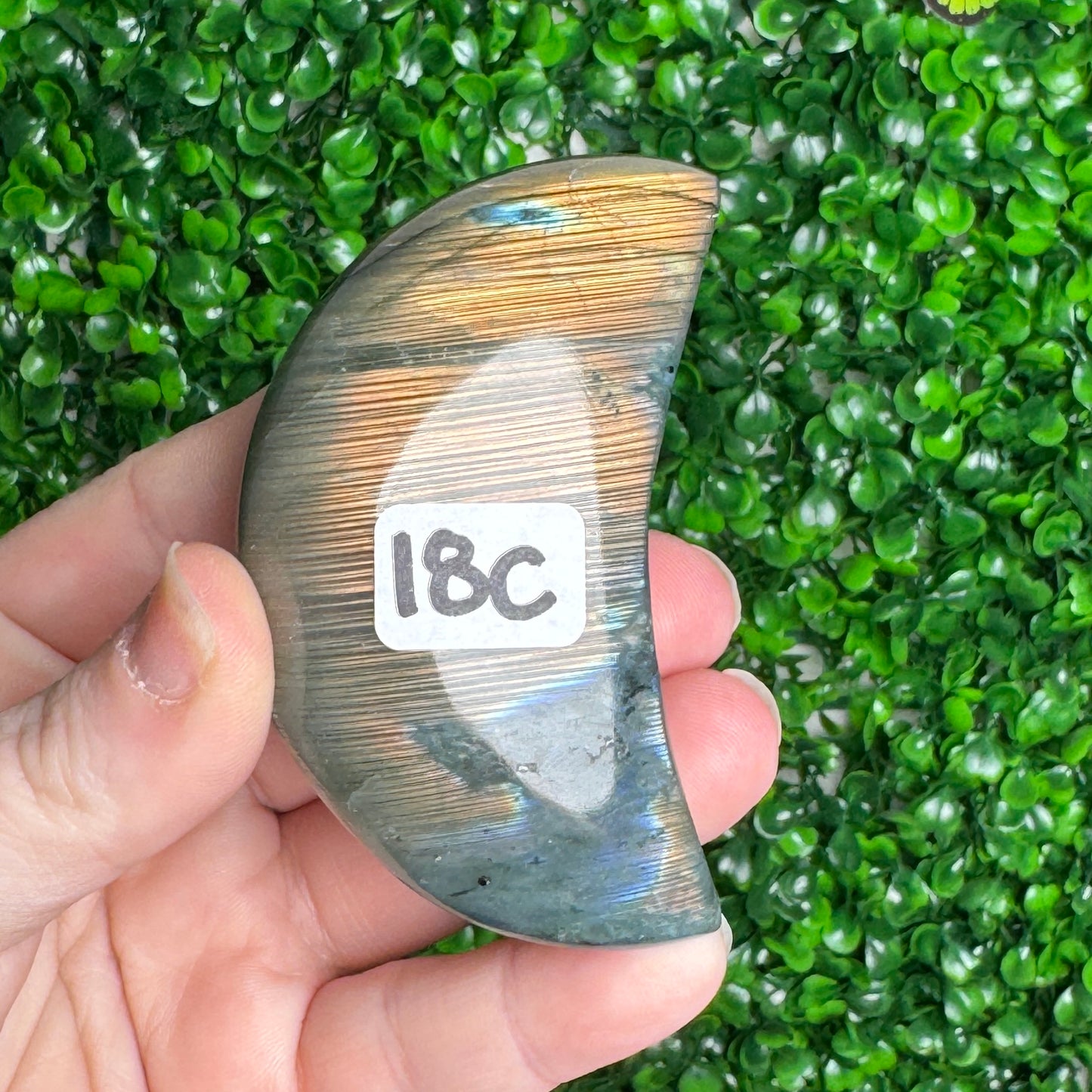 Labradorite Moon Carvings