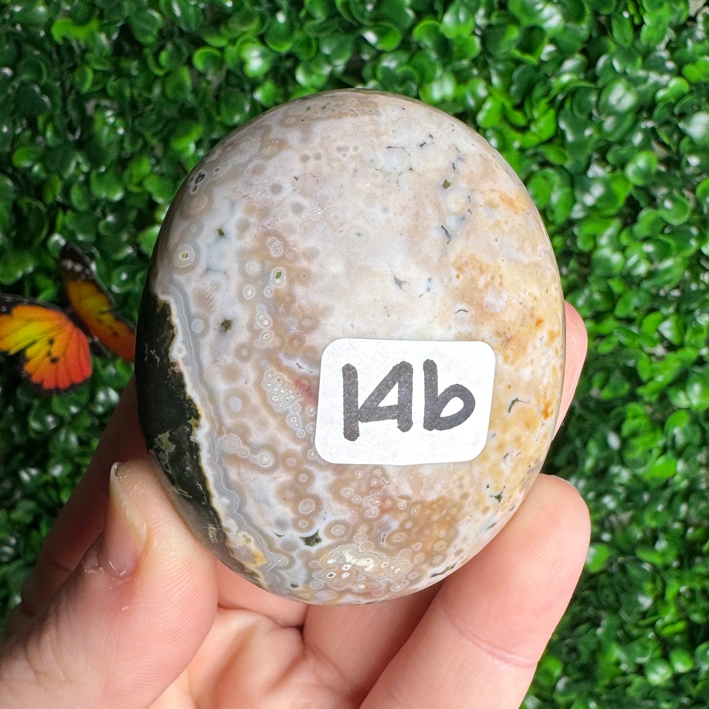 Sea Jasper Palm Stones
