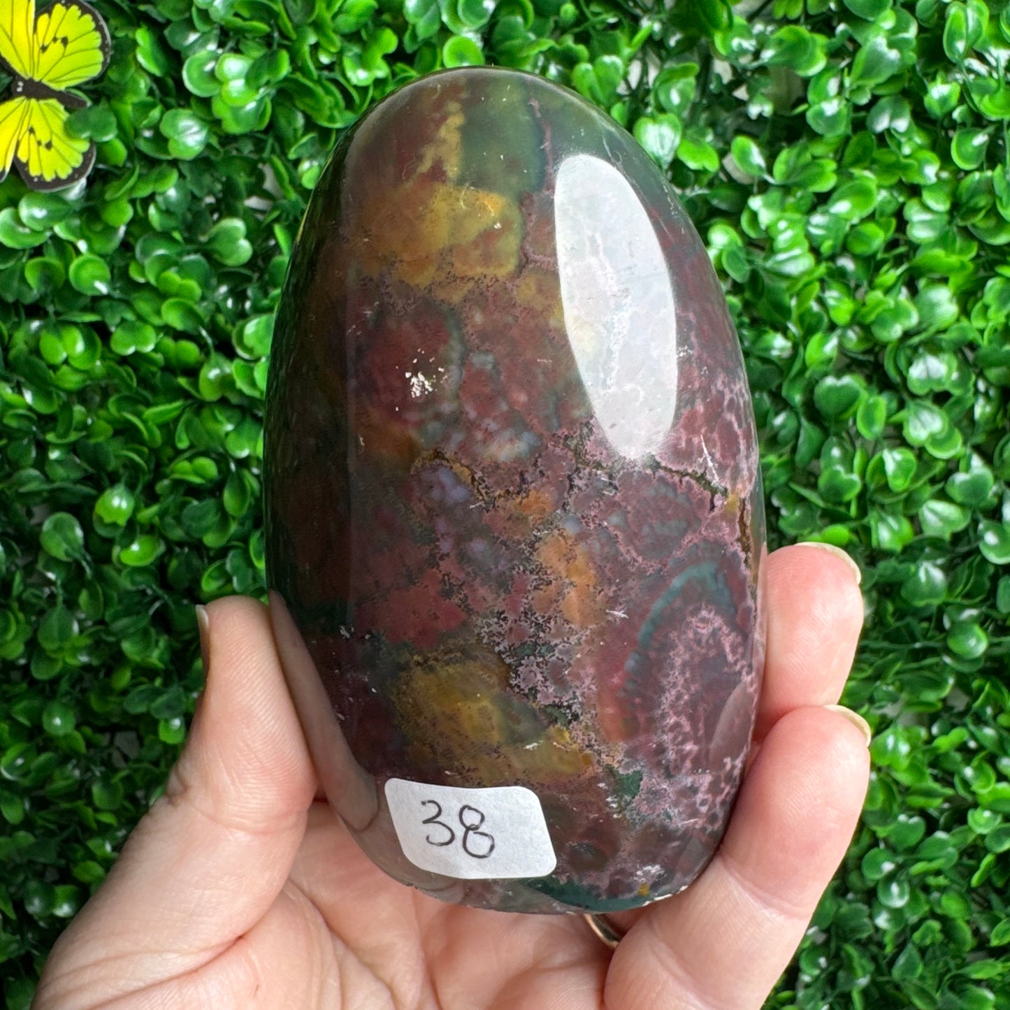 Sea Jasper Freeform