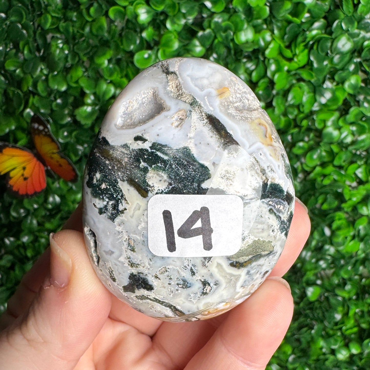 Sea Jasper Palm Stones