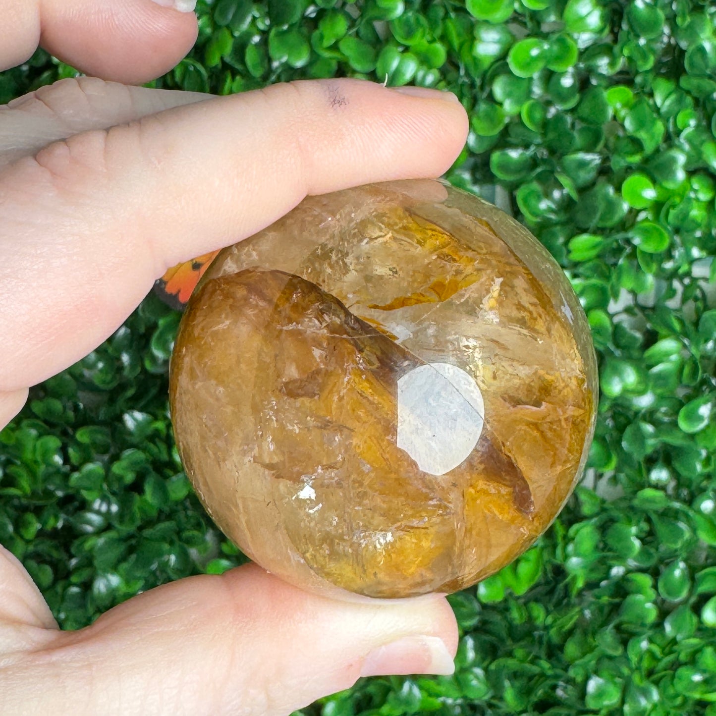 Star Golden Healer Sphere