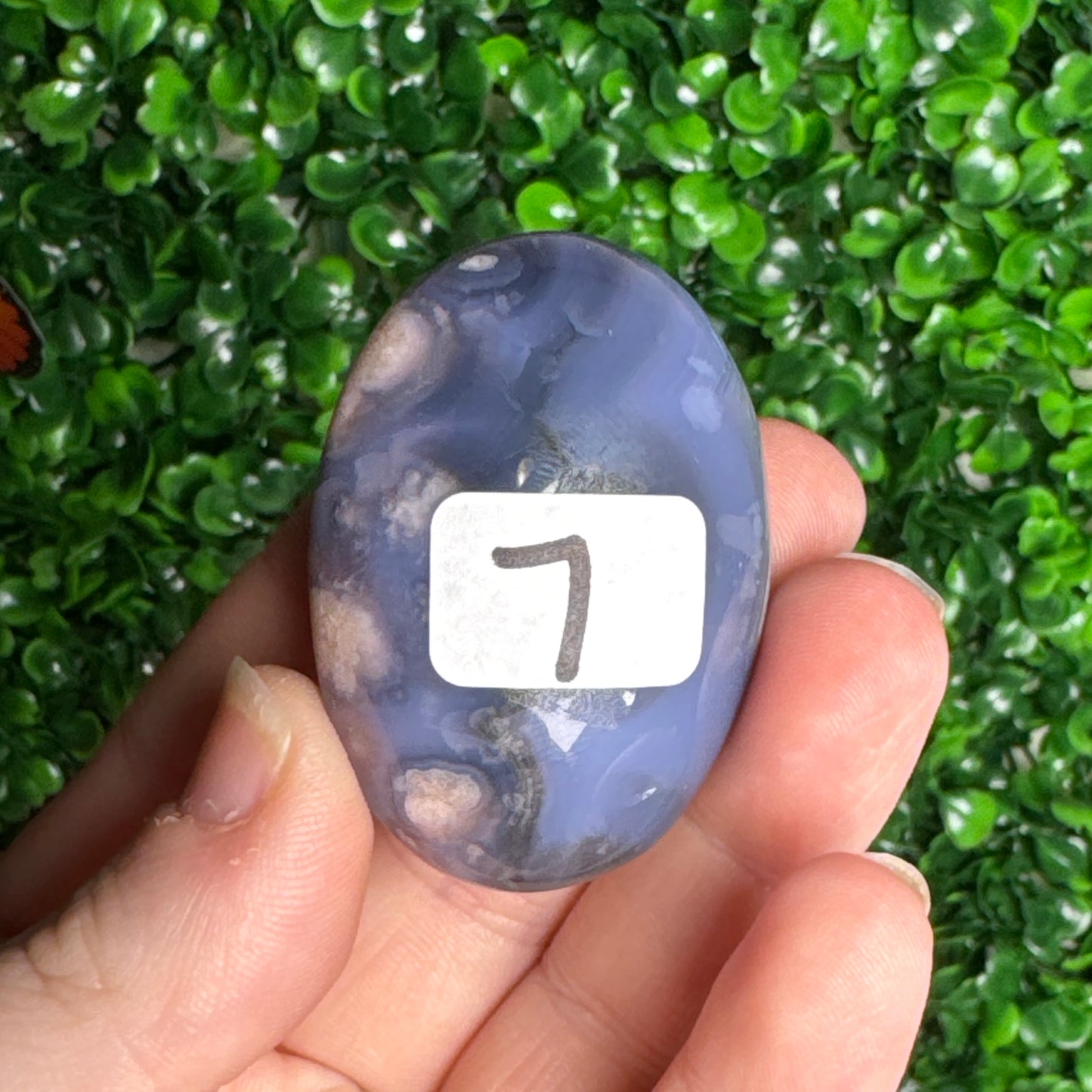 Blue Flower Agate Palm Stones