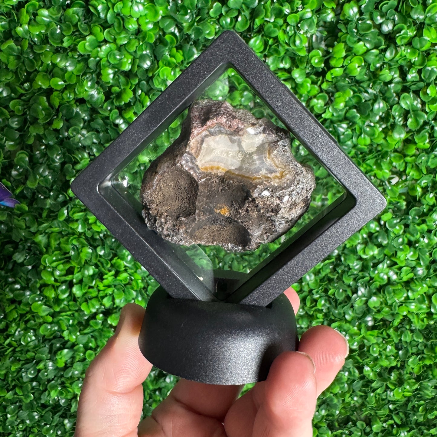 Laguna agate