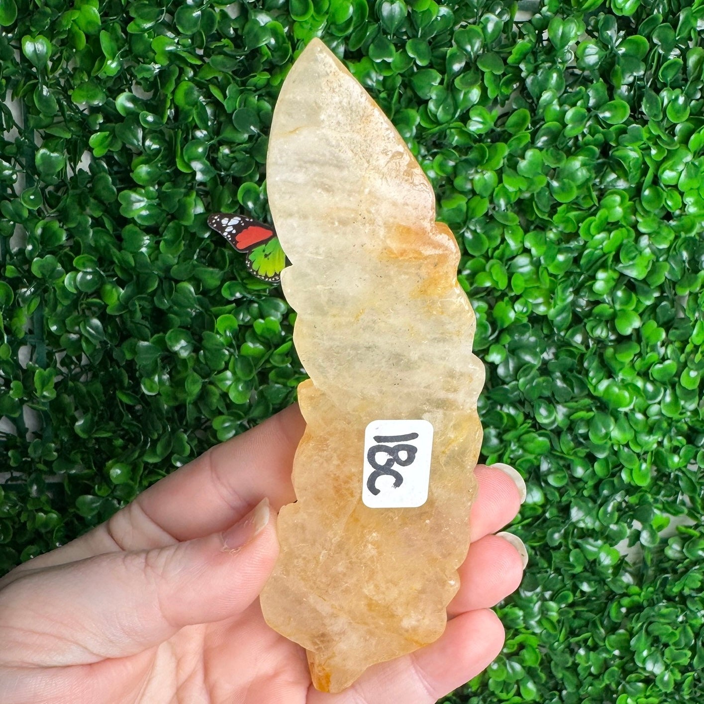 Golden healer feather