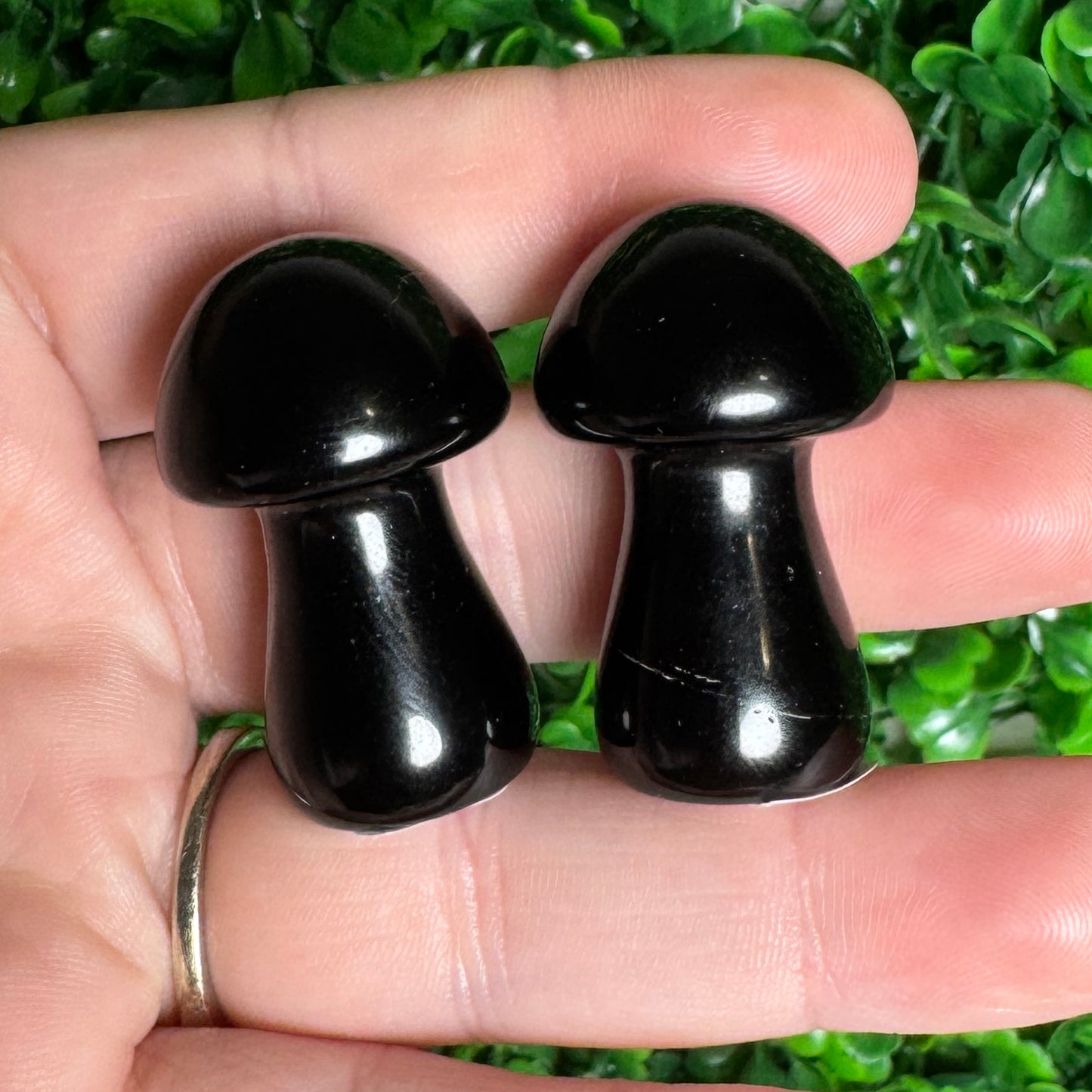 Intuitively chosen black obsidian mushroom carving