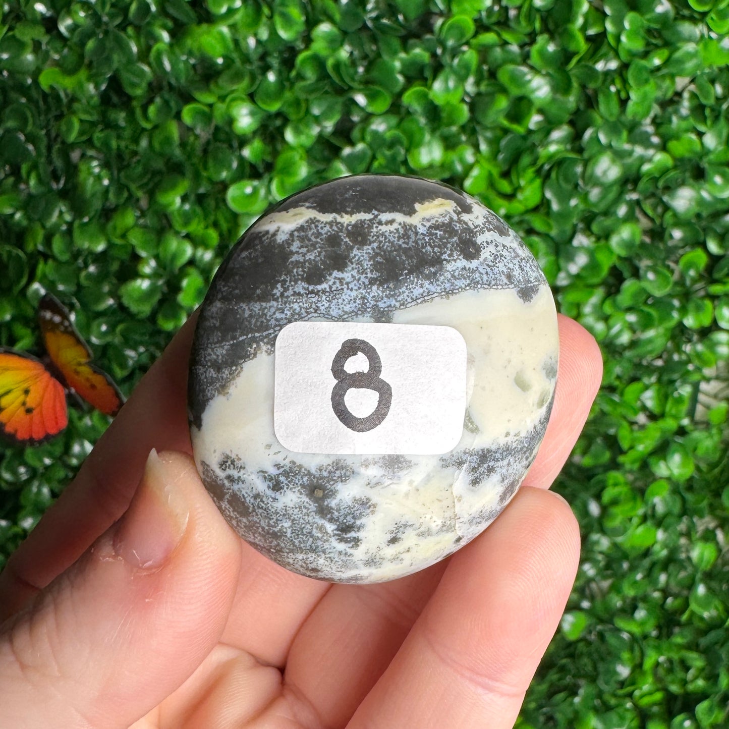 Sea Jasper Palm Stones