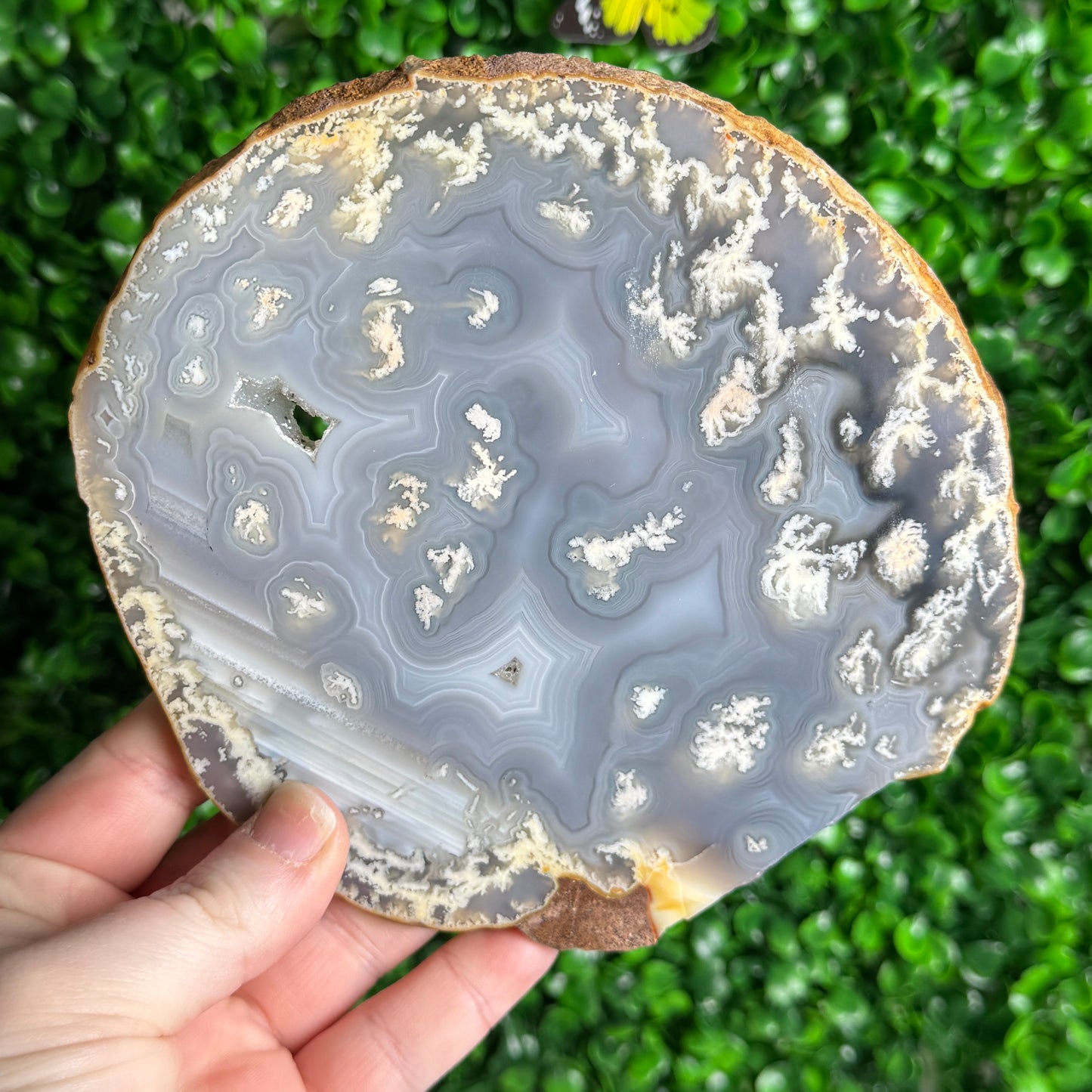 Druzy Moss Agate Slab