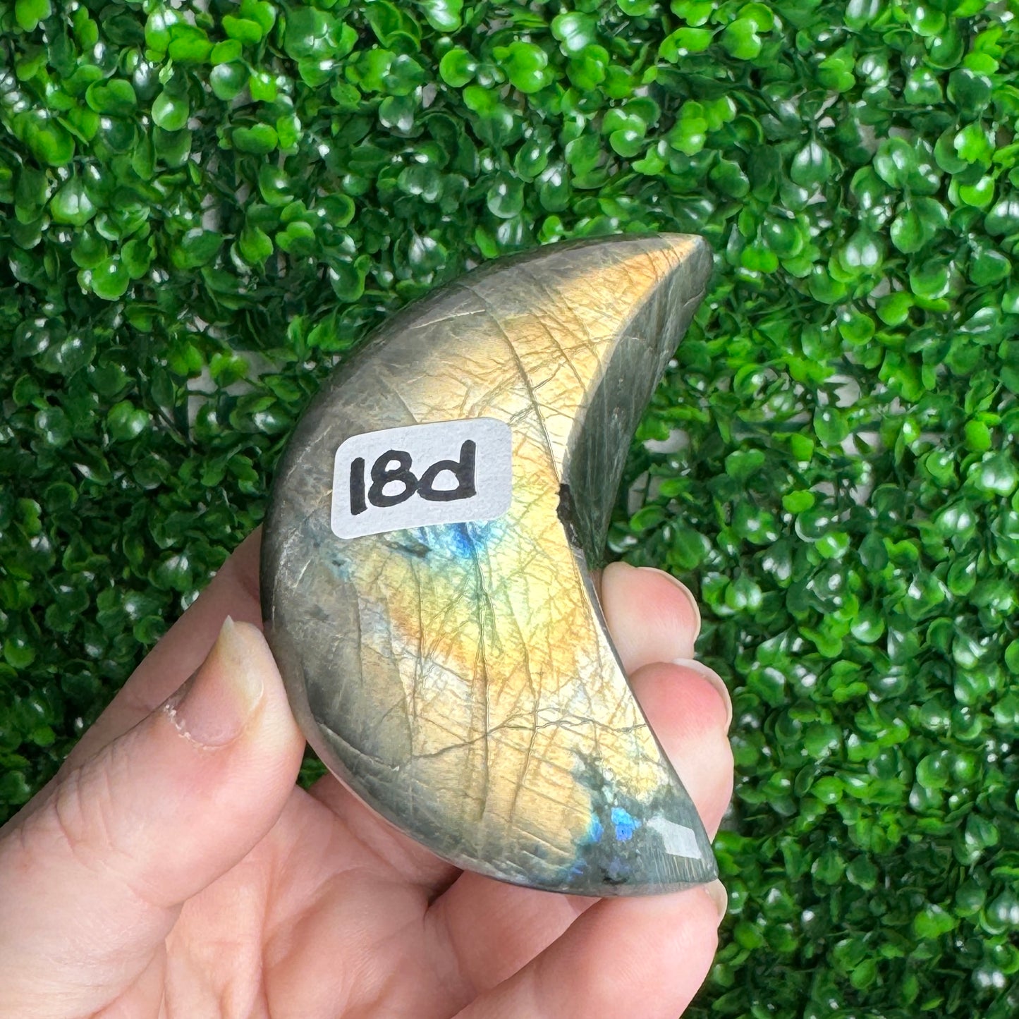 Labradorite Moon Carvings