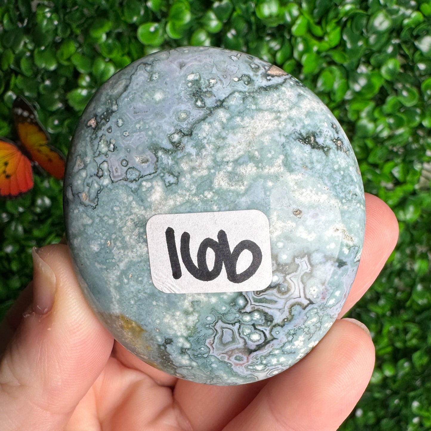Sea Jasper Palm Stones