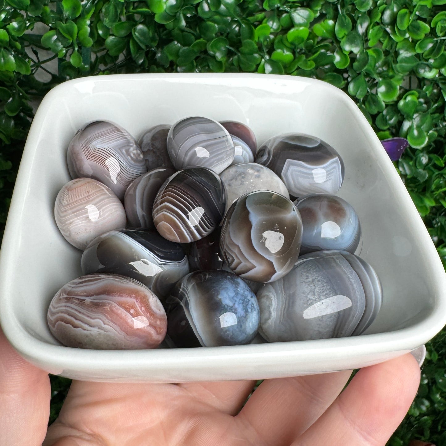 Botswanna Agate Tumbles with Parallax