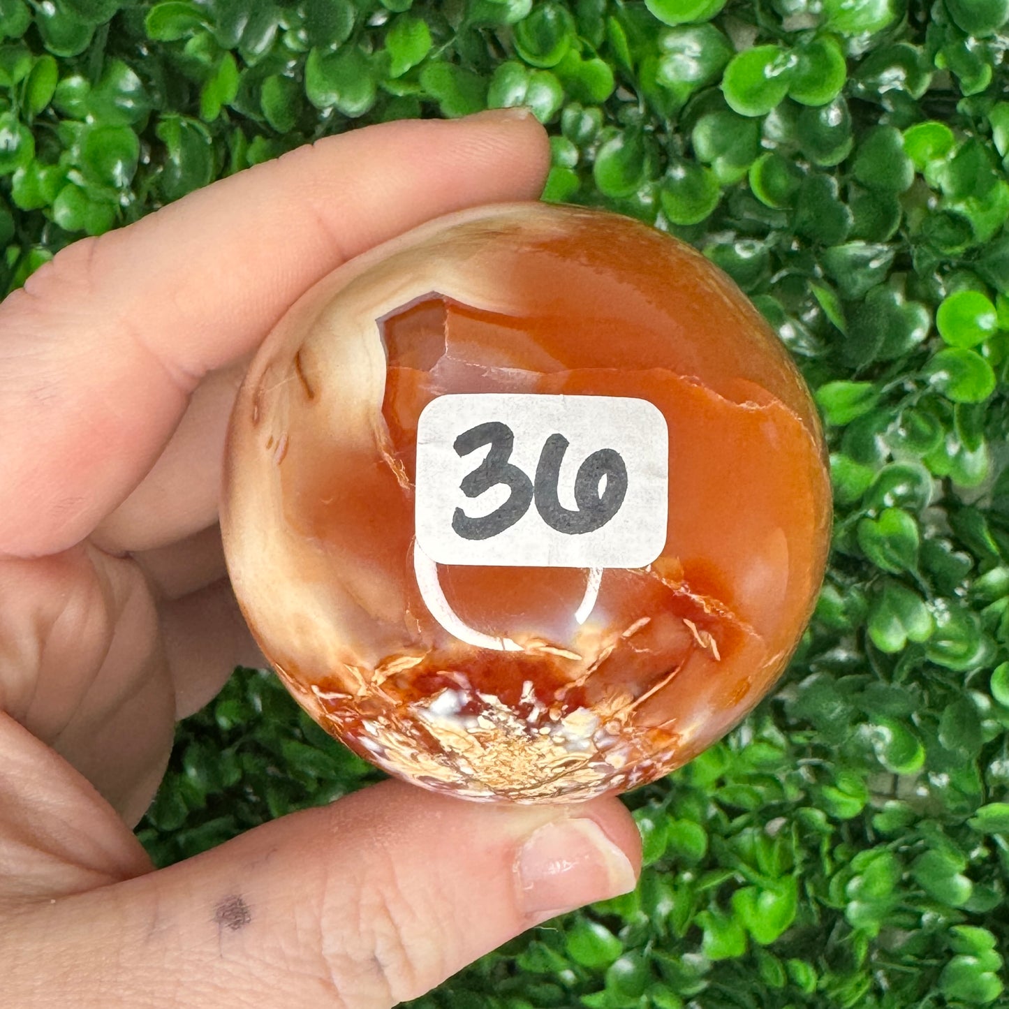 Carnelian Orca Sphere