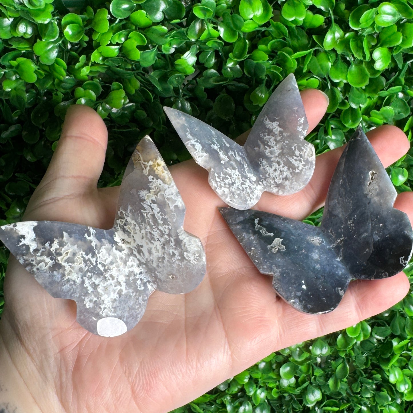 3D Blue Plume Agate Butterflies