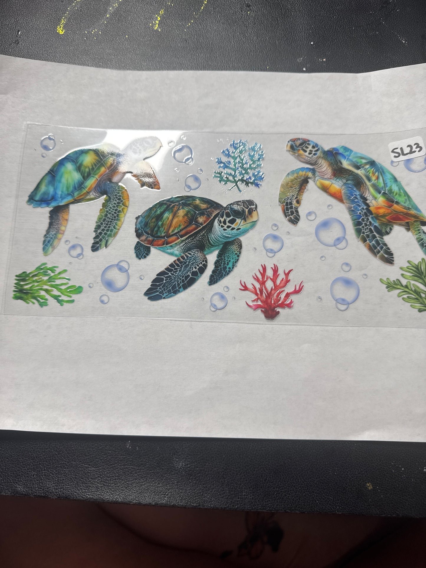 SL23 Turtles with coral and bubbles