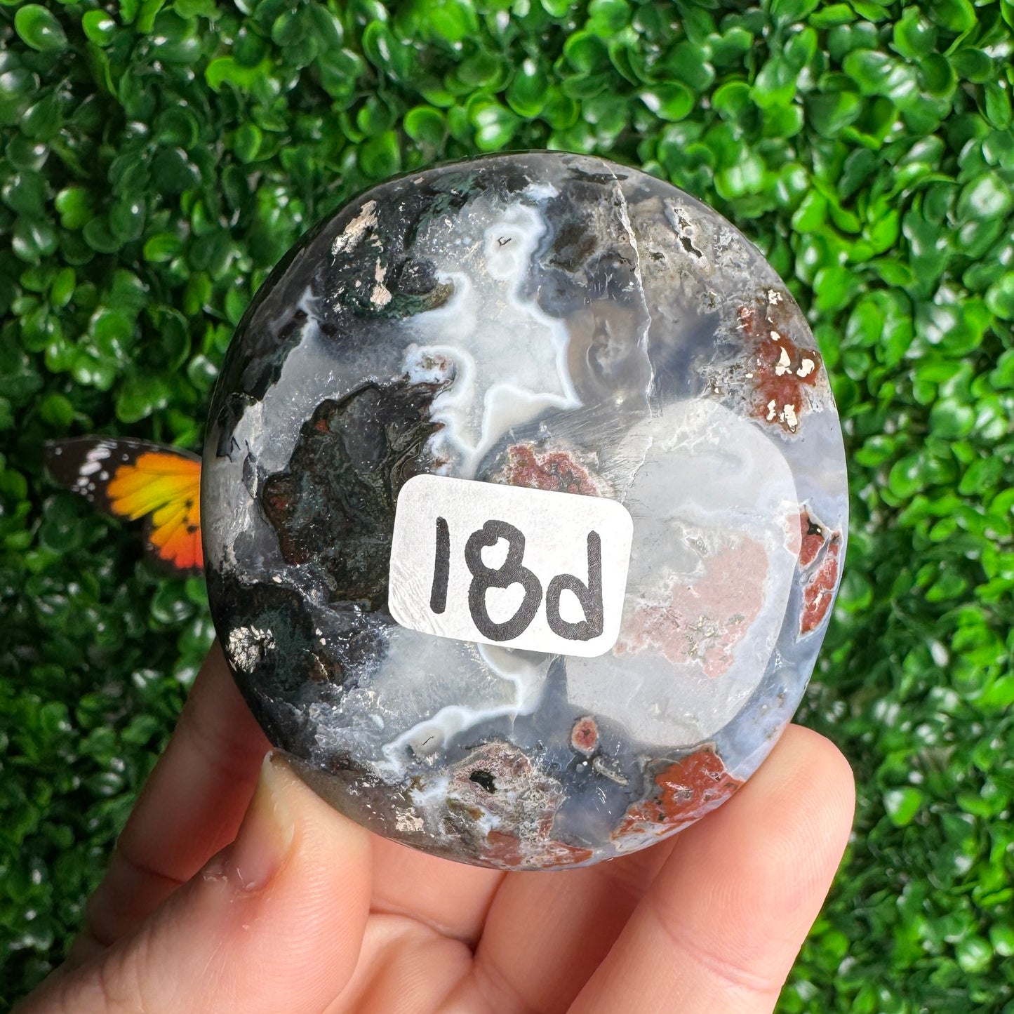 Sea Jasper Palm Stones