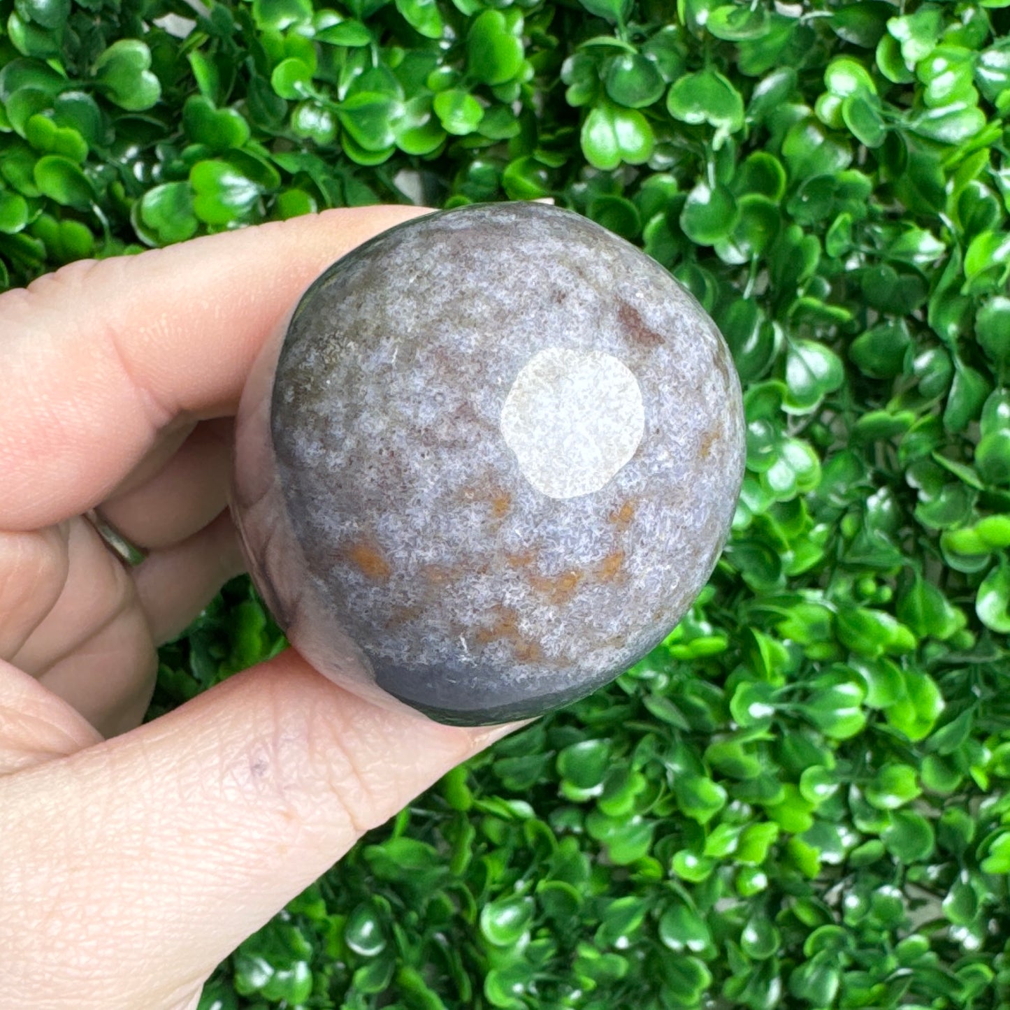 Sea Jasper mushroom Carvings