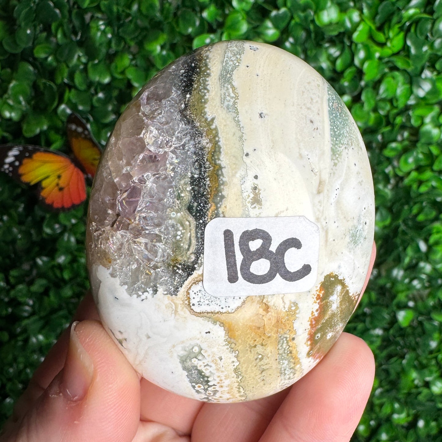Sea Jasper Palm Stones