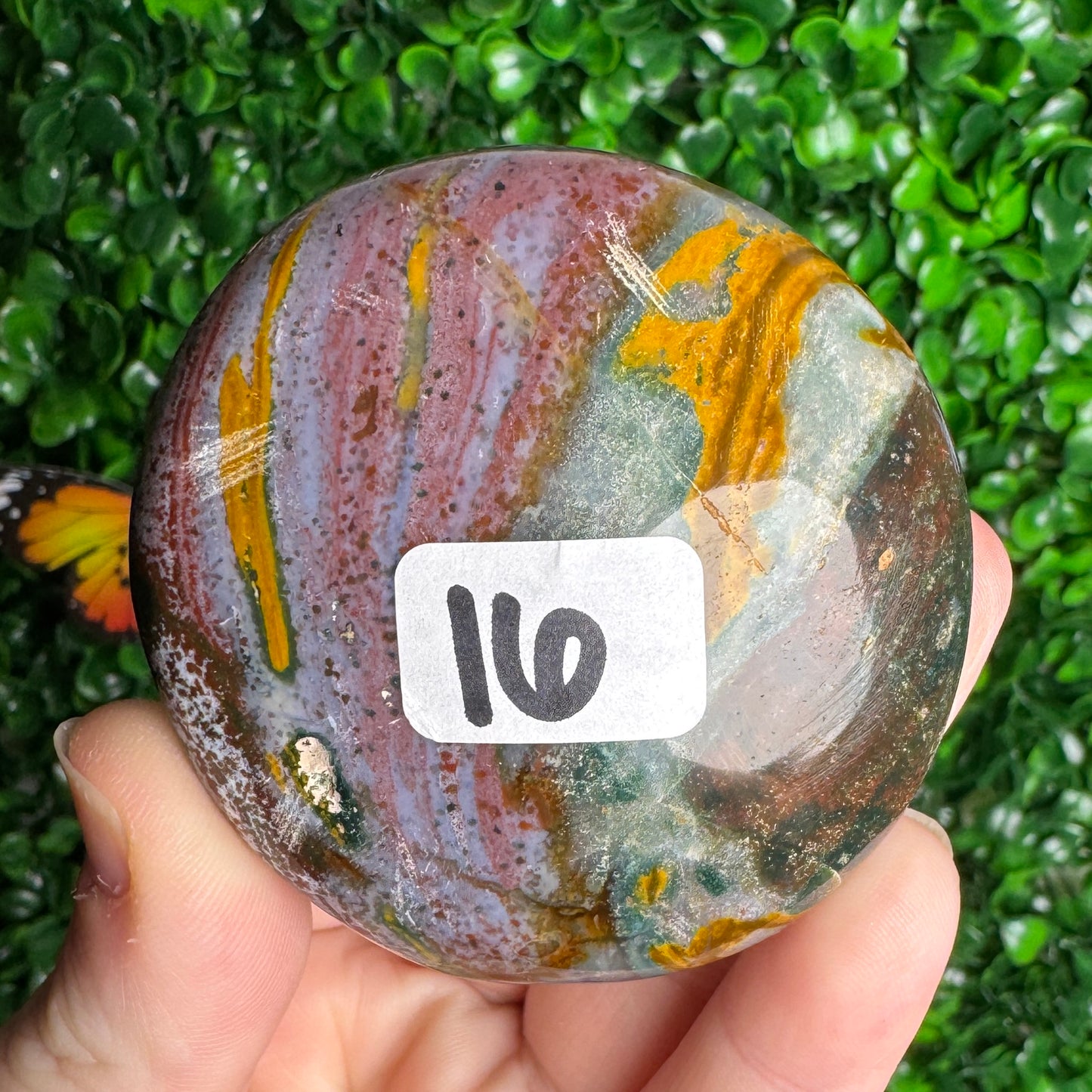 Sea Jasper Palm Stones