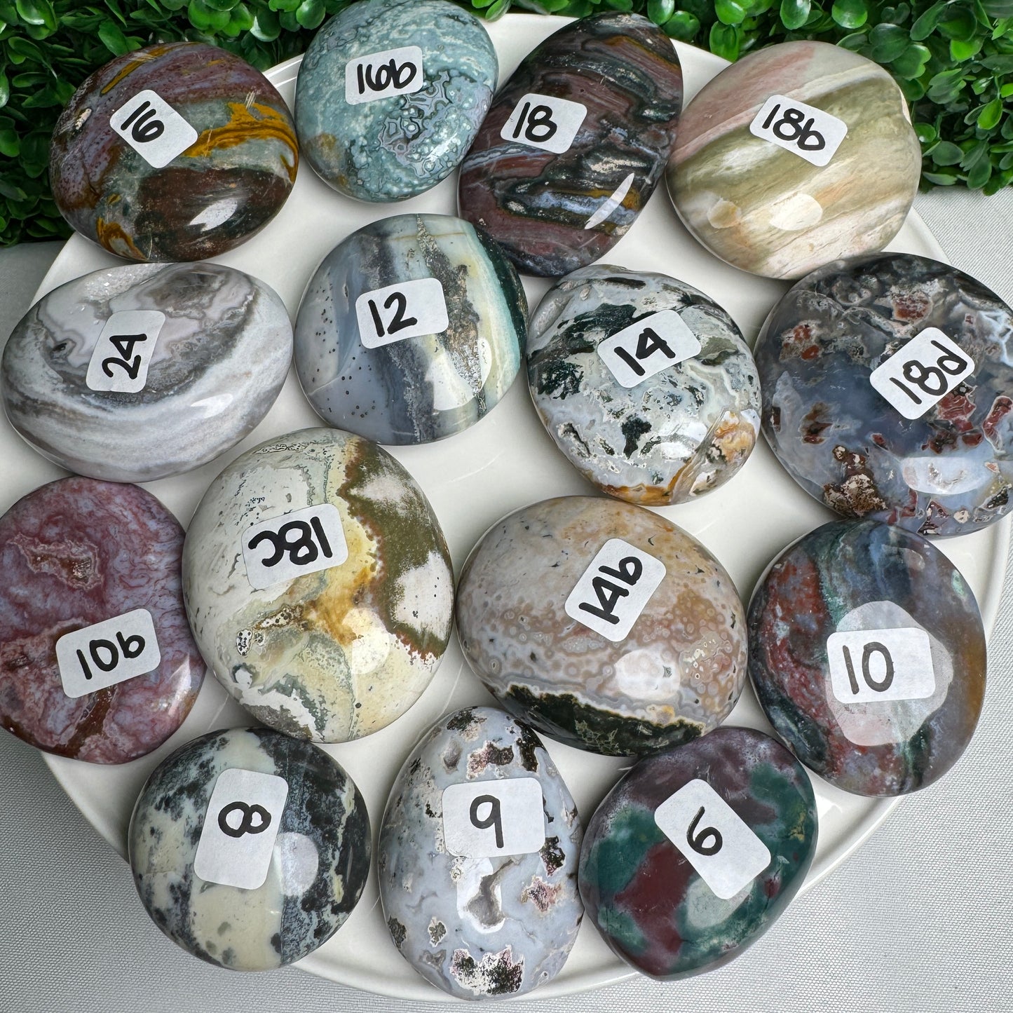 Sea Jasper Palm Stones