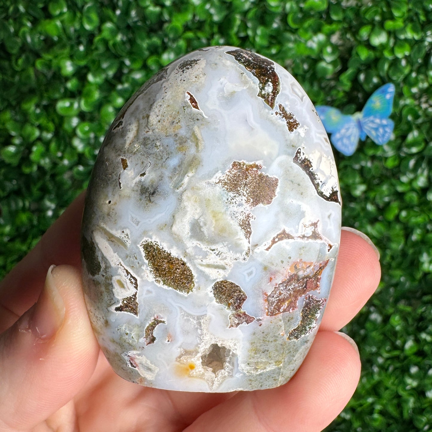Sea Jasper Freeforms