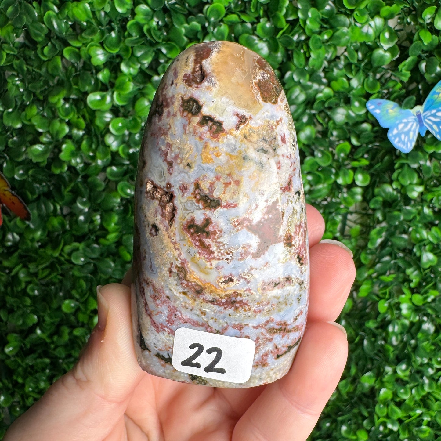 Sea Jasper Freeforms