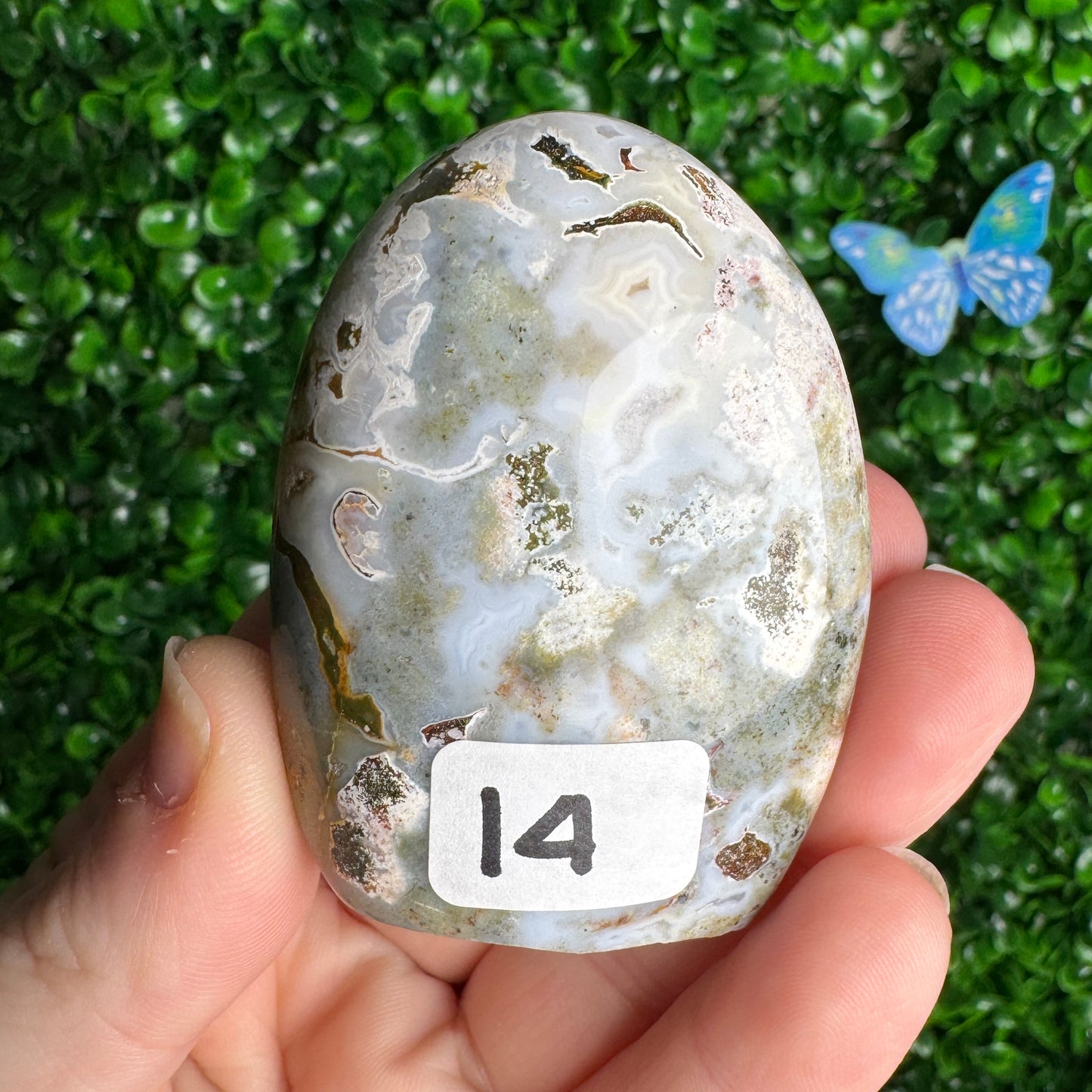 Sea Jasper Freeforms