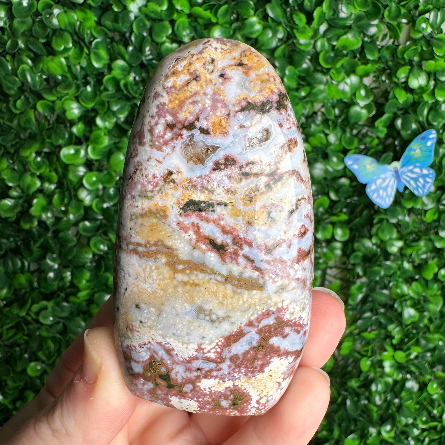 Sea Jasper Freeforms