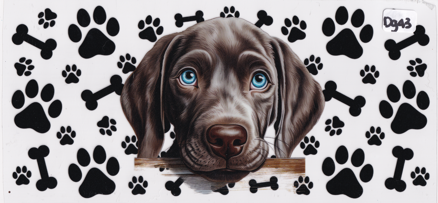 DG43 Dog Paw Prints Bones UVDTF Wrap