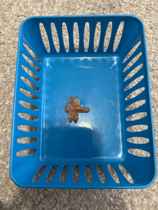 Monica live sale basket