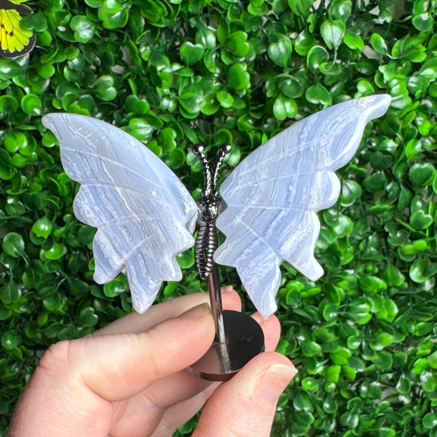 Blue Flower Agate Wings