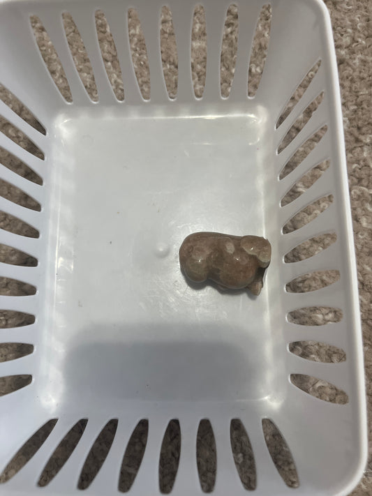 Cristina e live sale basket