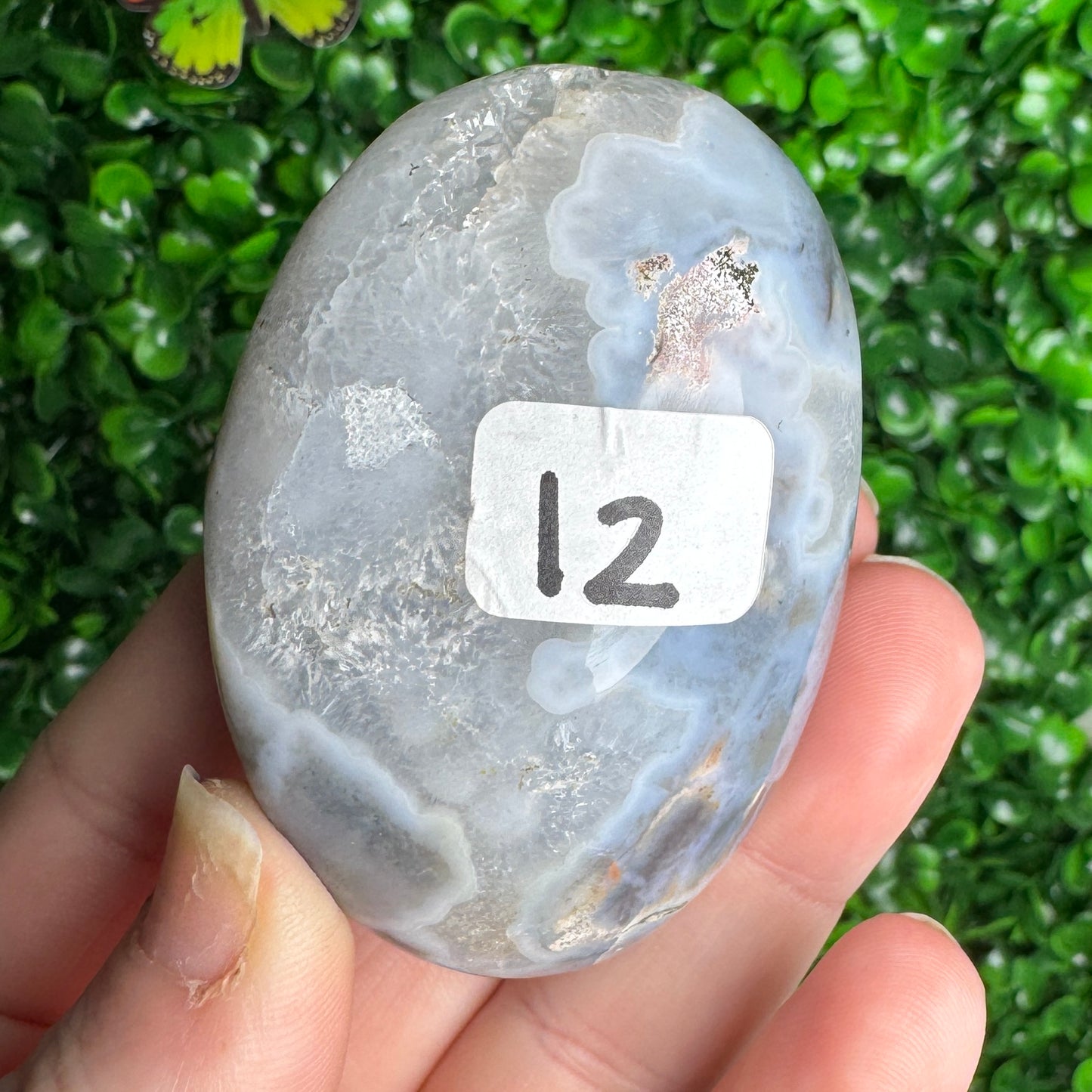 Sea Jasper Palm stones