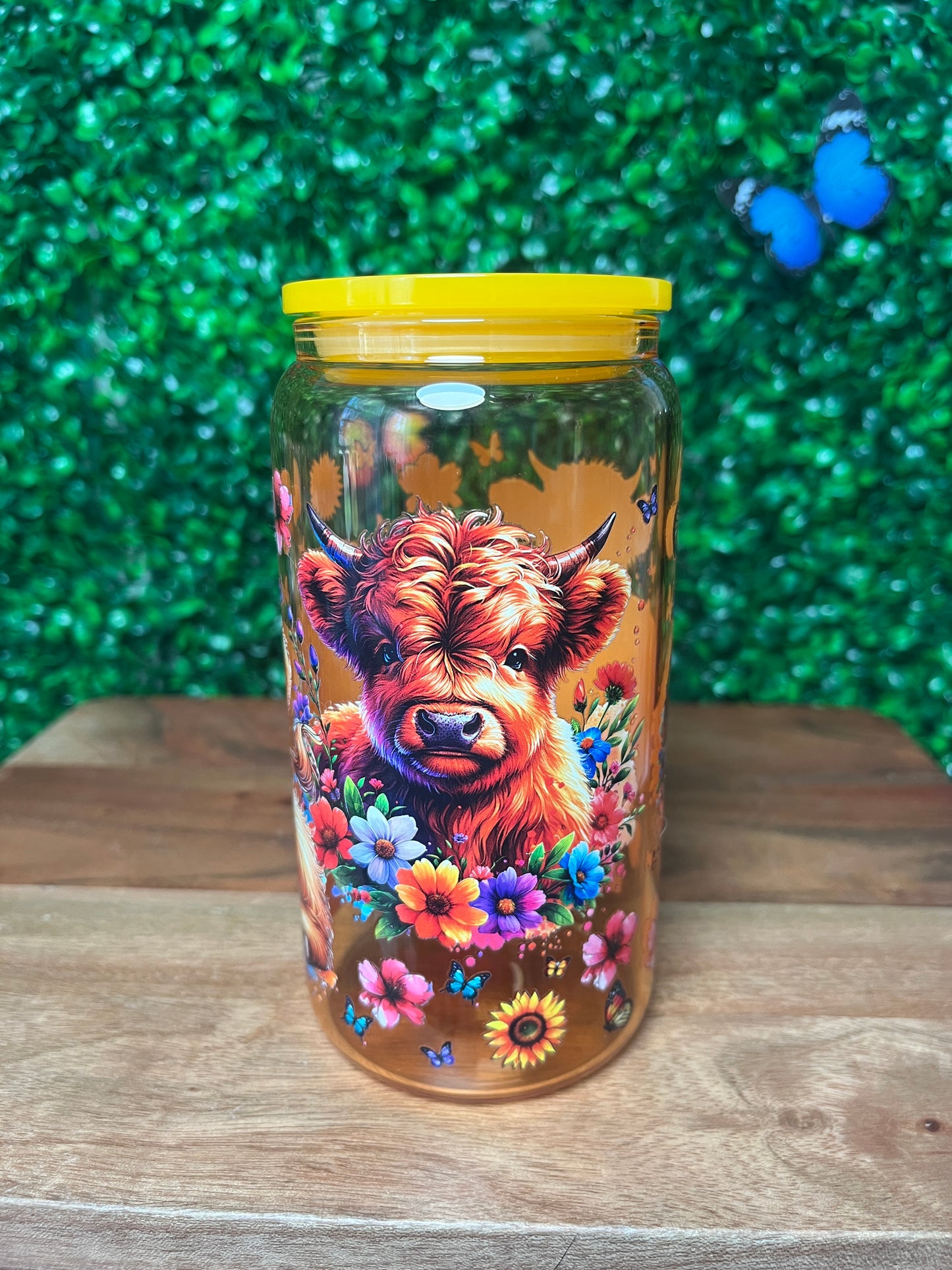 16oz Highland Cow UVDTF Glass Cup