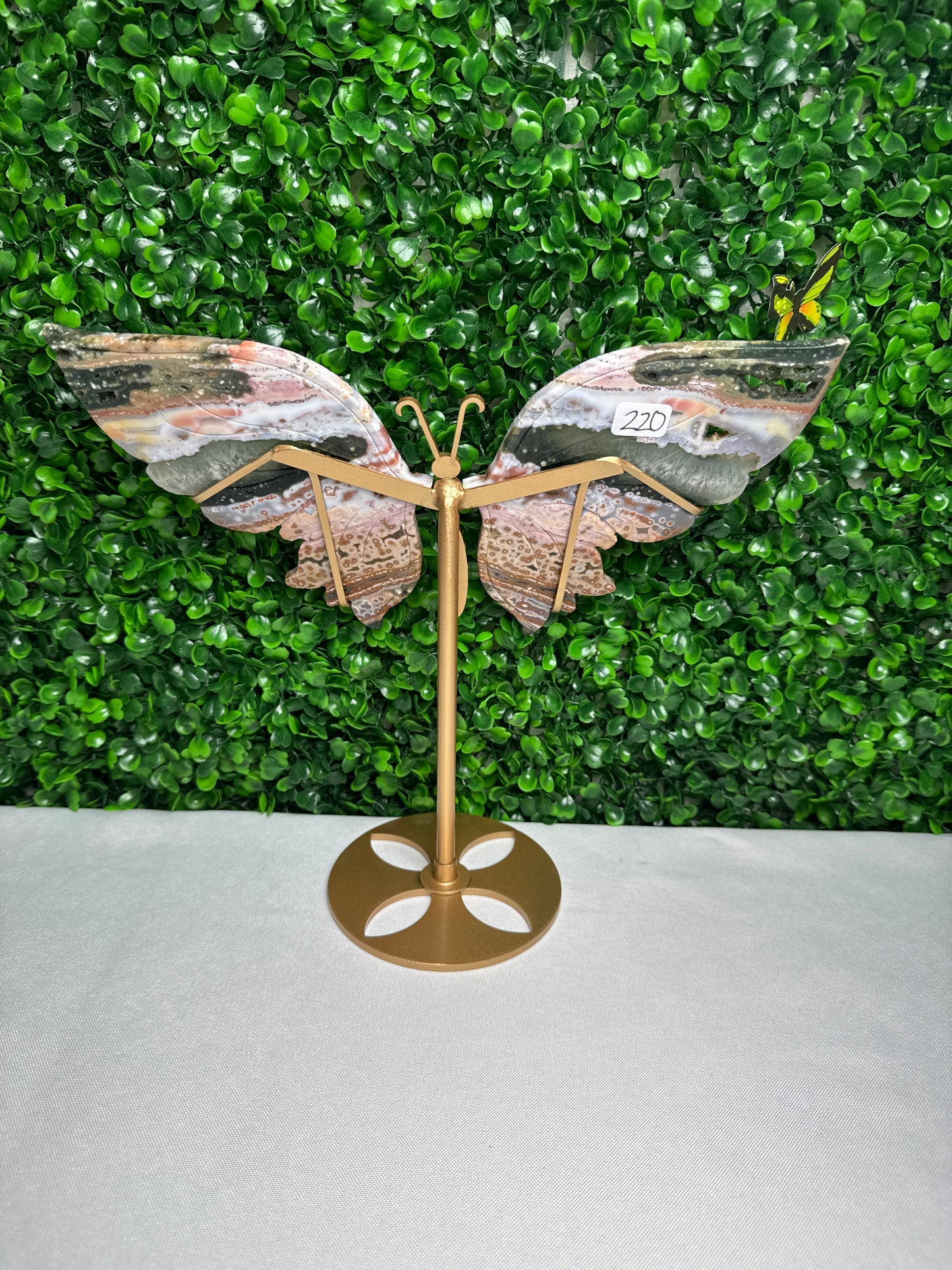 Statement Sea Jasper Wings Carvings